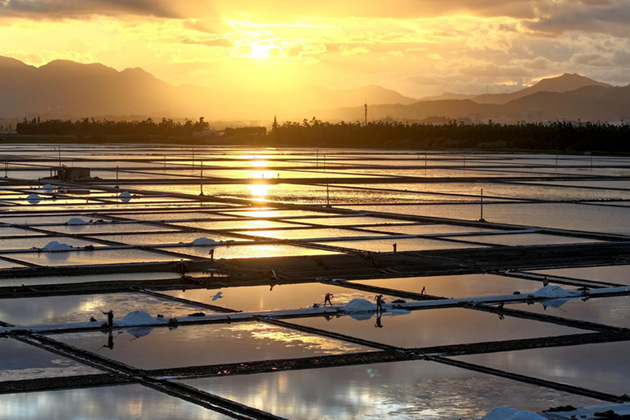 Fujian salt pans dazzle in summer harvest