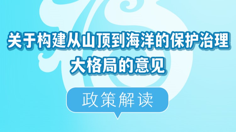 图解：《关于构建从山顶到海洋的保护治理大格局的意见》