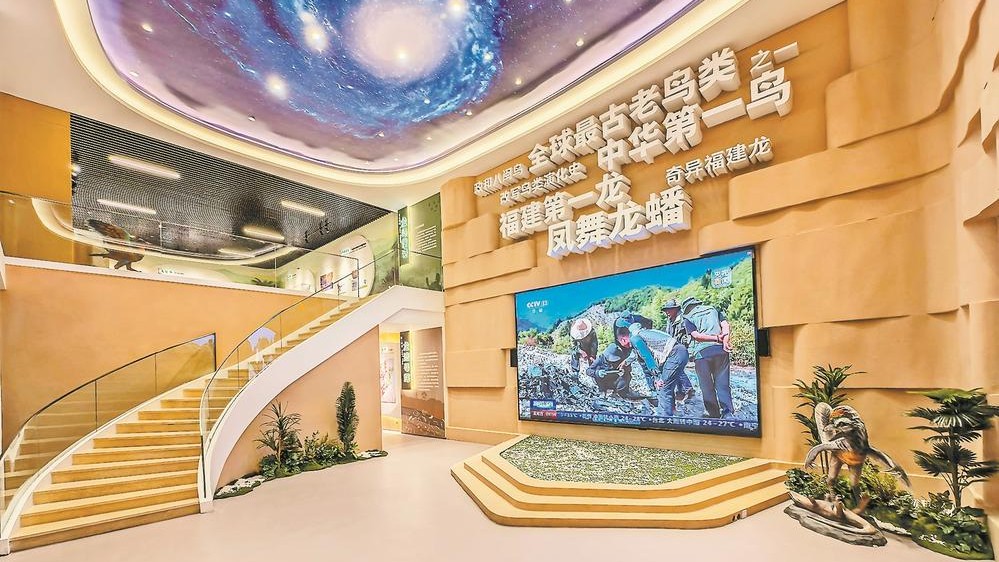 政和亿年龙鸟展示馆开馆