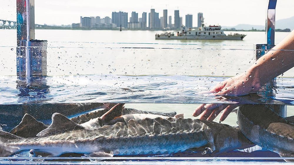 全国水生生物同步增殖放流活动在福州市举行