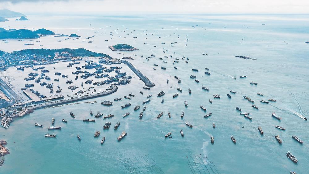 霞浦迎来“小开渔”