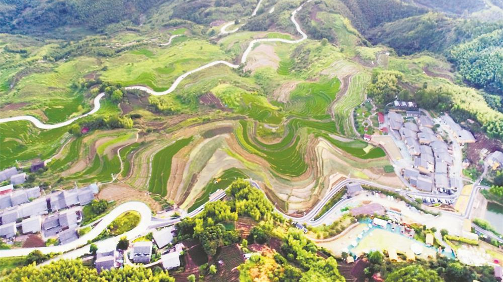 念山云上梯田景区展独特魅力