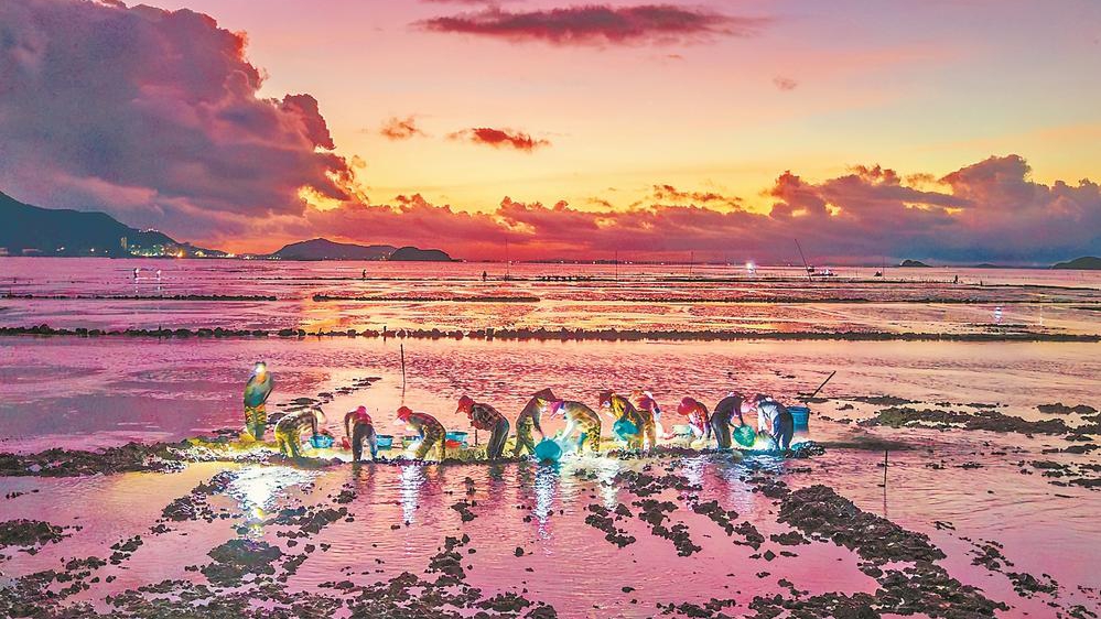 守护“海上收成”
