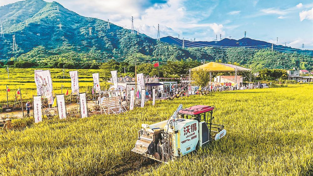 厦门市集美区2025年“中国农民丰收节”活动现场