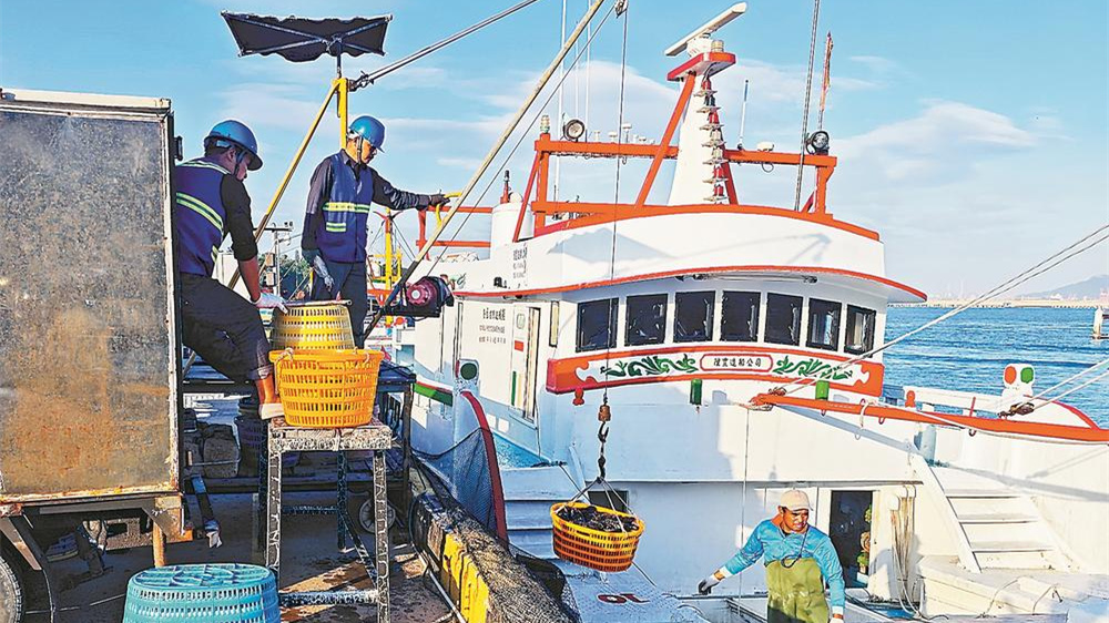 两岸活鱼 “鲜”速流通