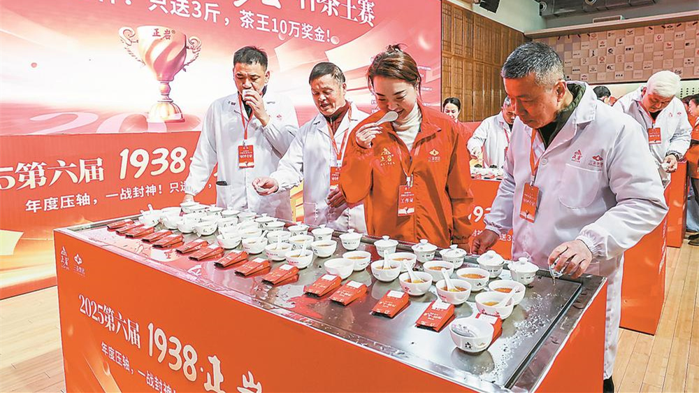 近4000茶样竞逐茶王