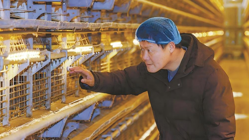 永泰蛋品畅销国内外