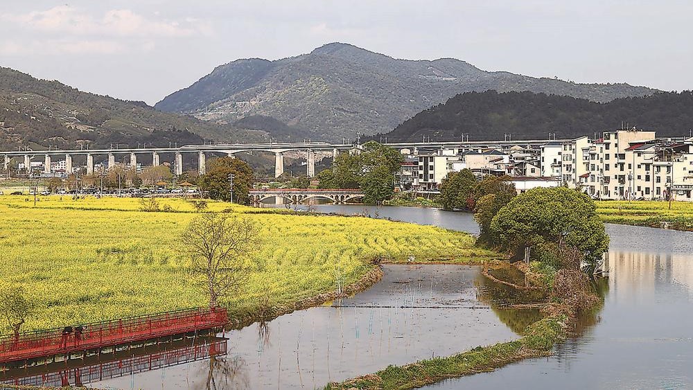武夷山市兴田镇南岸村油菜花竞相开放