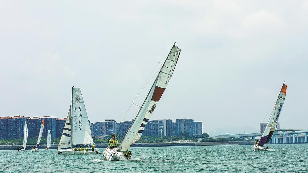 2026海洋日帆船赛在厦门开赛