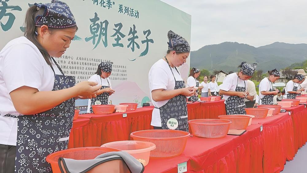 五夫迎来“荷花季”