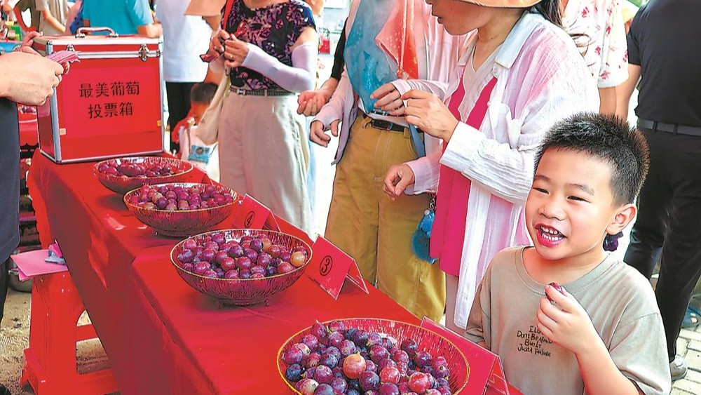 三明市沙县区举办“最美葡萄”评选活动