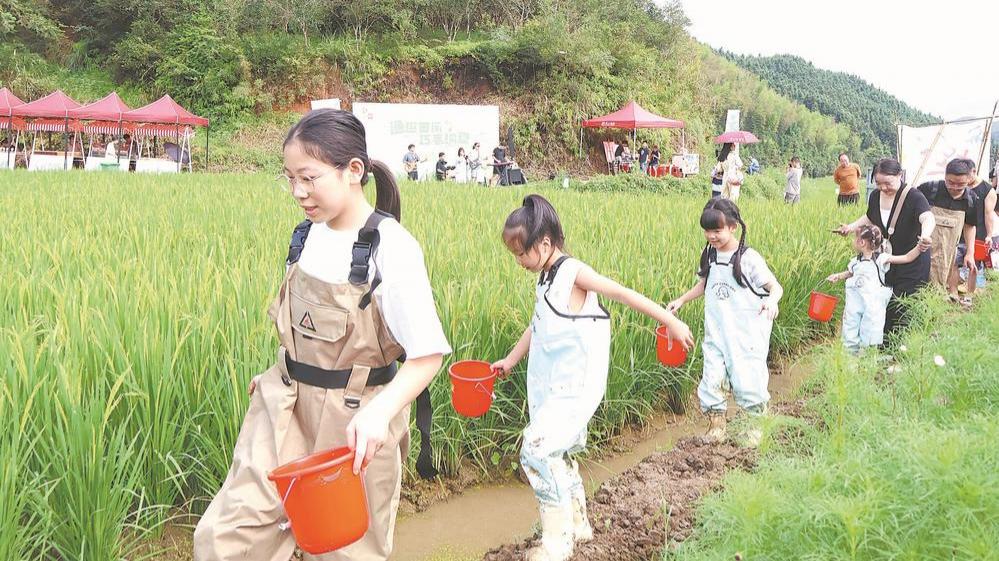 夏日乡趣体验活动