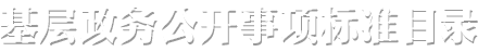 基層政務公開事項標準目錄