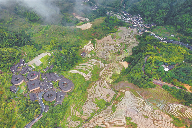 南靖县书洋镇曲江村的2000多亩梯田进入插秧季