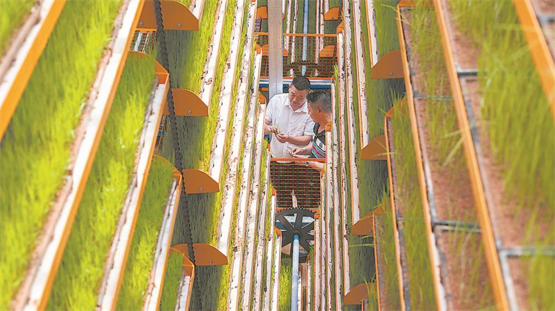 “智慧化”作業助春耕